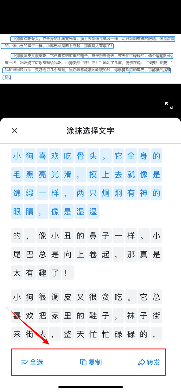 图片提取文字