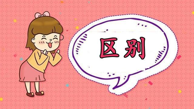 编制是什么意思