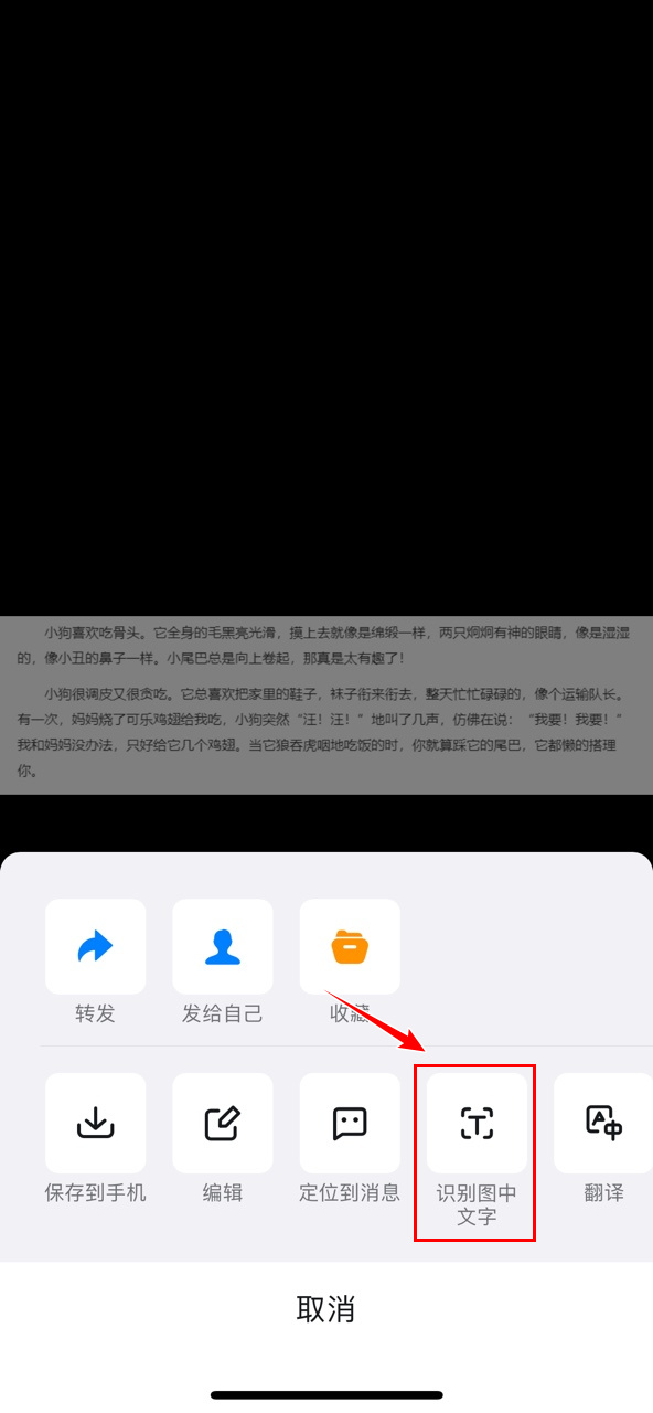 图片提取文字