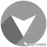 编制是什么意思