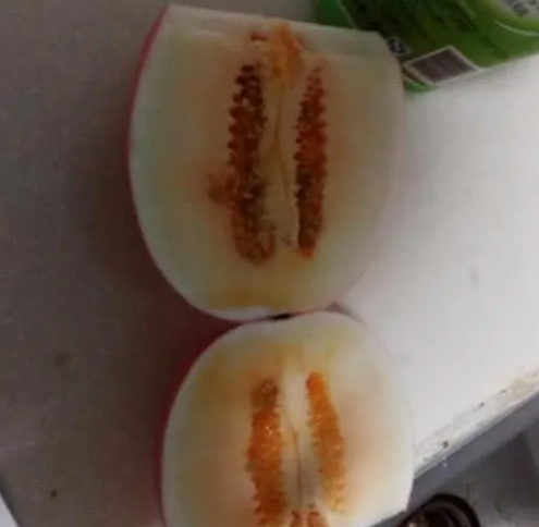 蛟龙果是什么水果