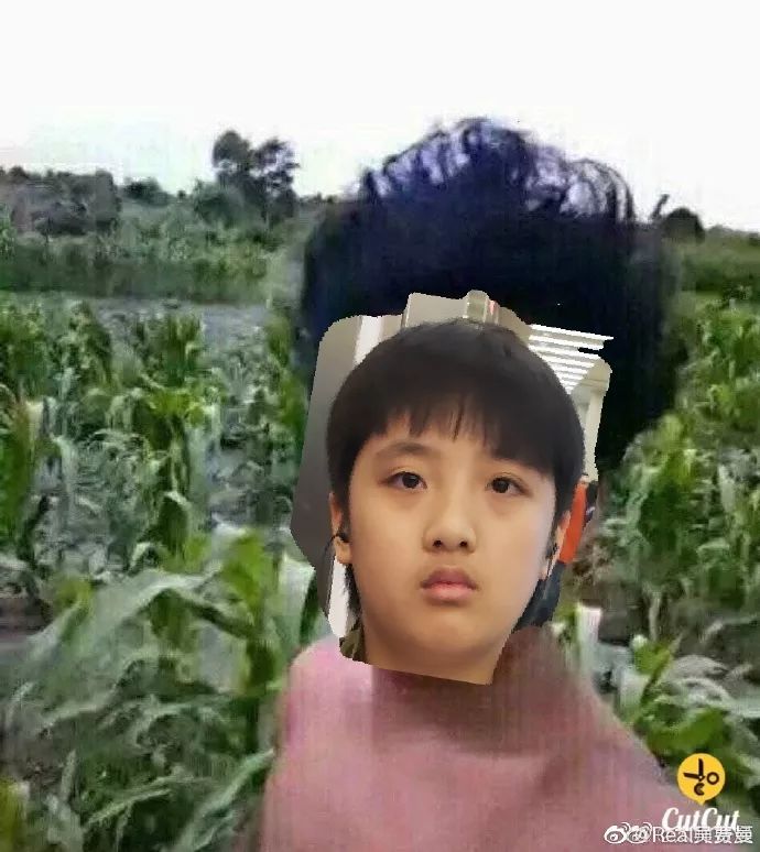 在线p图