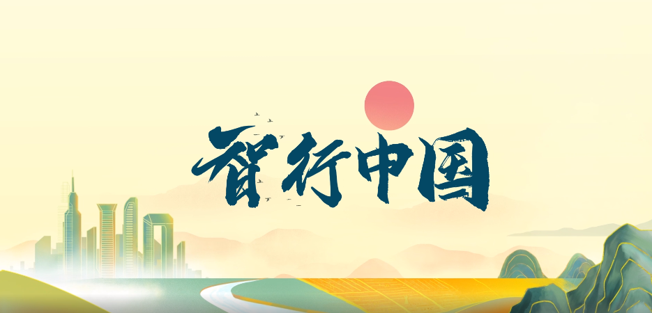 飞翔网