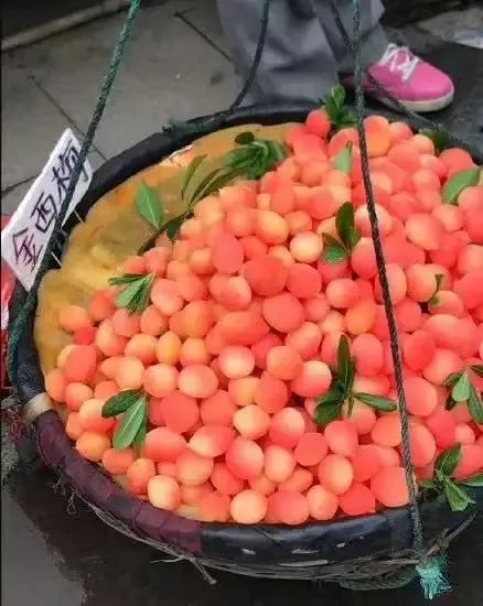 蛟龙果是什么水果
