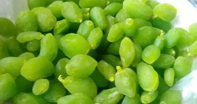 蛟龙果是什么水果
