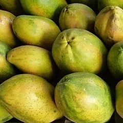蛟龙果是什么水果