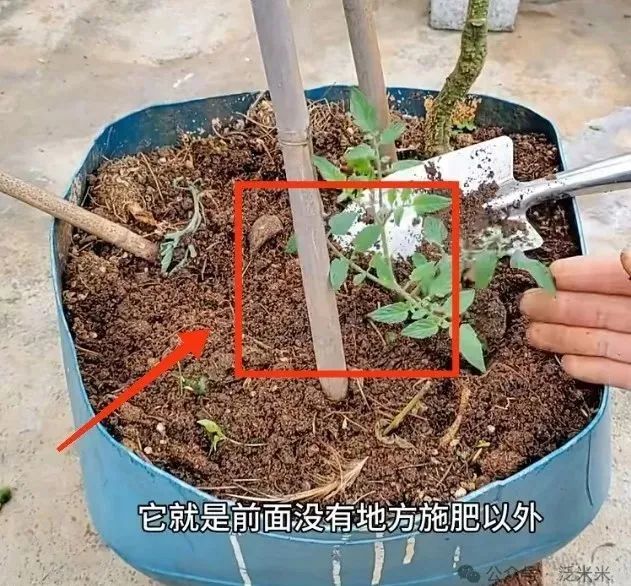 番茄网