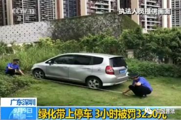 富二代网站