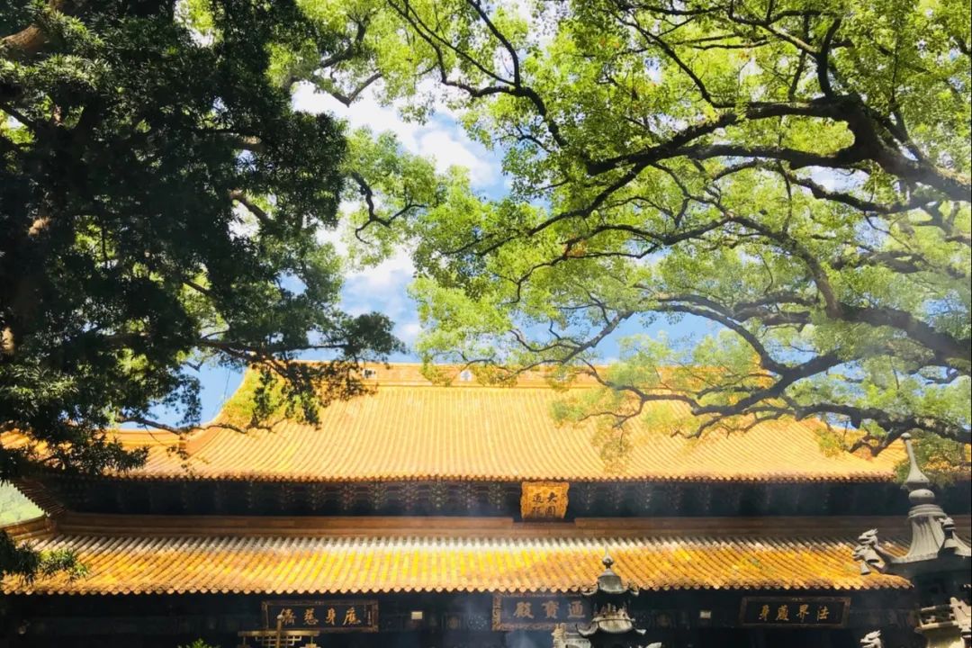 得到