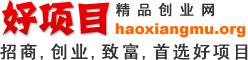 项目网