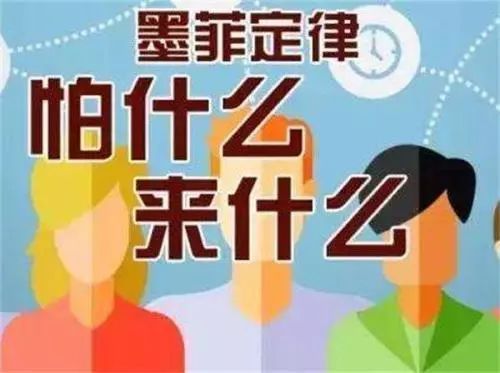 鲶鱼效应