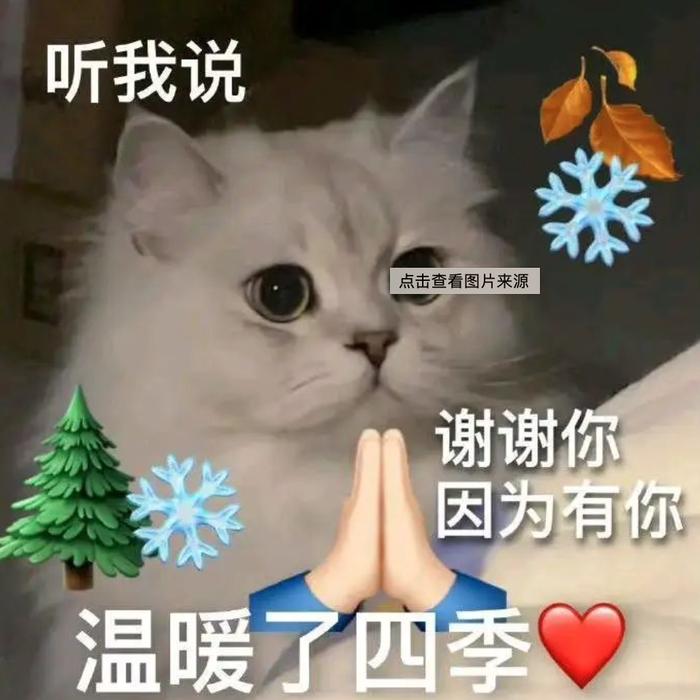 美篇