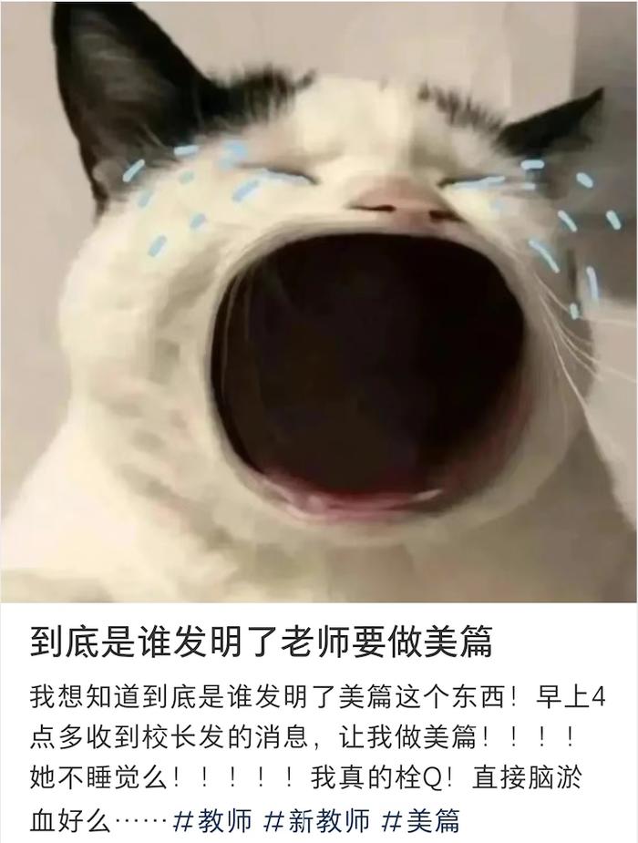 美篇