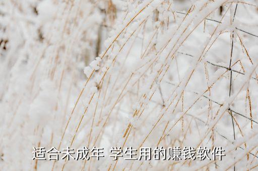 适合未成年 学生用的赚钱软件