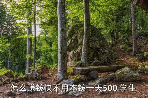 怎么赚钱快不用本钱一天500 学生