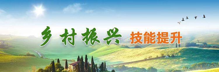 互联网营销师