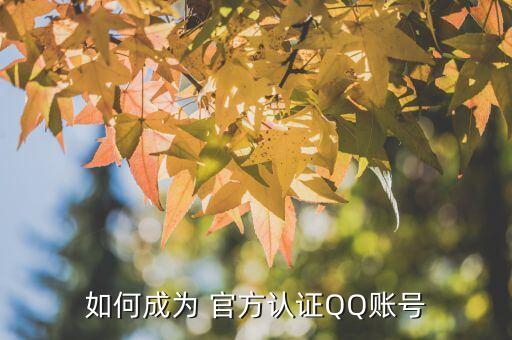 如何成为 官方认证QQ账号 如何成为 官方认证QQ账号