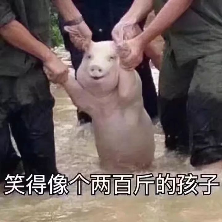 英语翻译软件