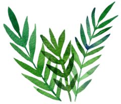 免费视频剪辑软件