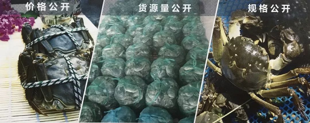 螃蟹交易平台
