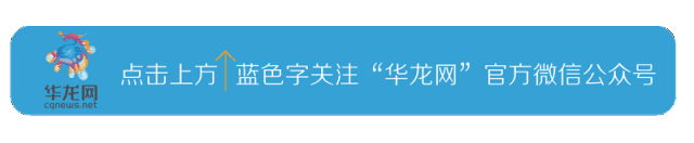 抢票软件哪个成功率高