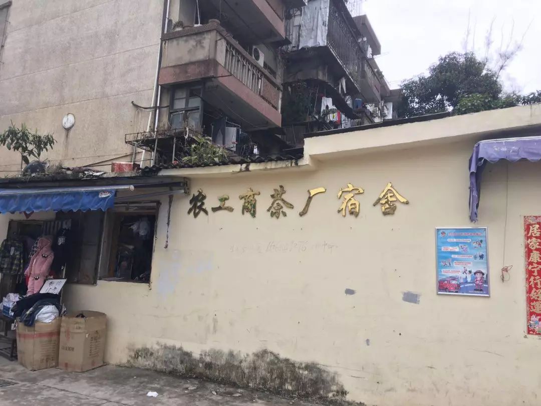 茶叶批发