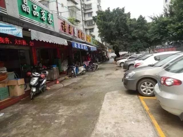 茶叶批发