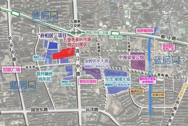 茶叶批发