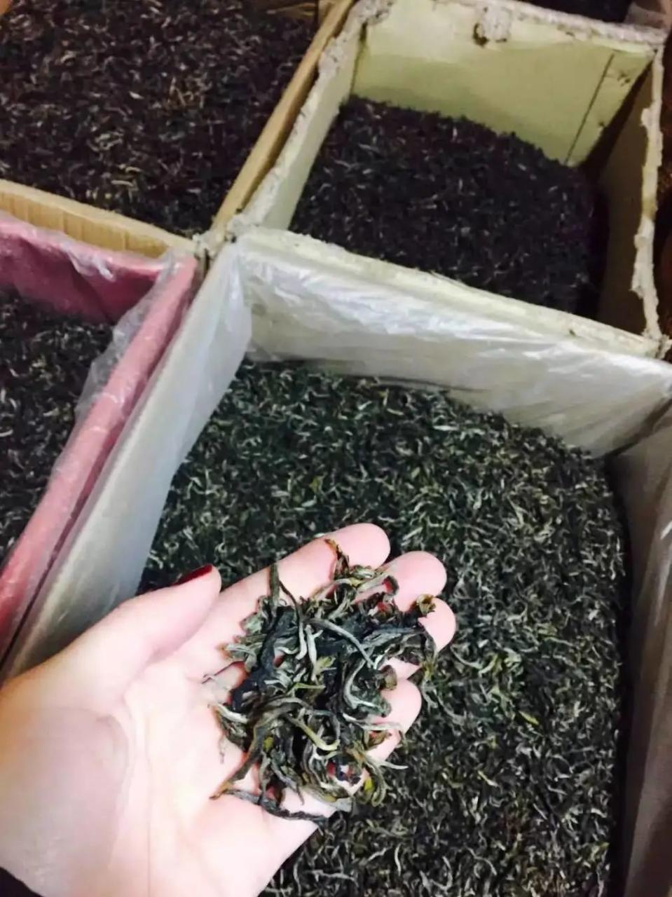 茶叶批发