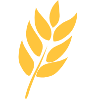软件外包公司