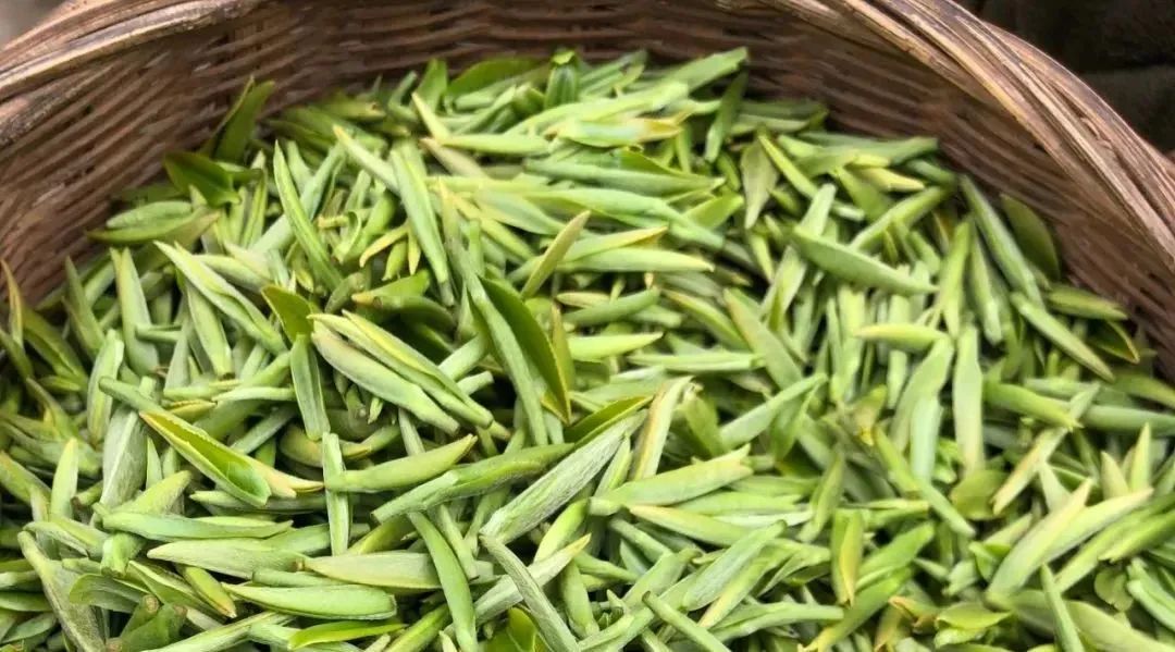 茶叶批发