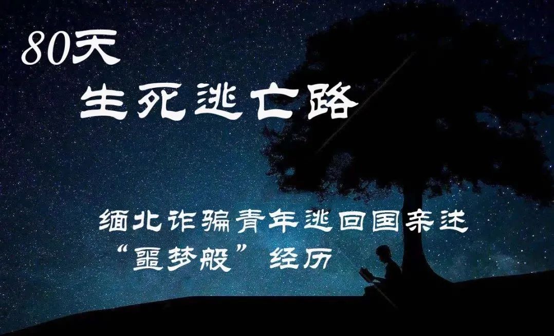 0投资一天赚80