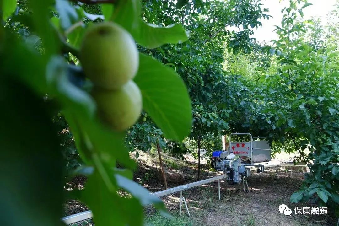 绿色资源网