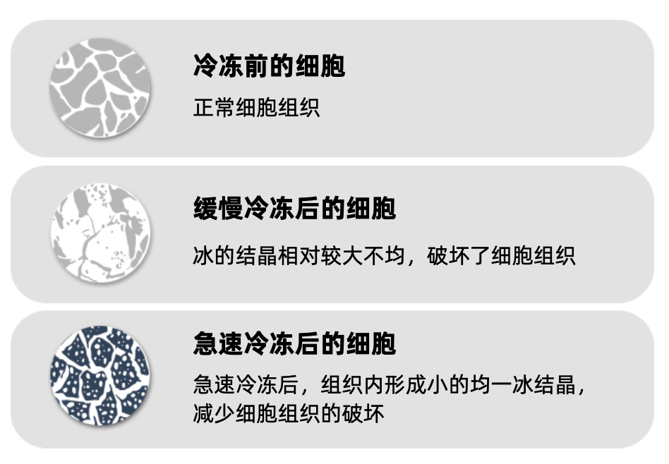 冷藏和冷冻的区别