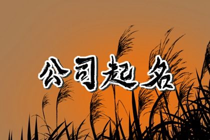 ai公司起名 大数据ai智能公司起名