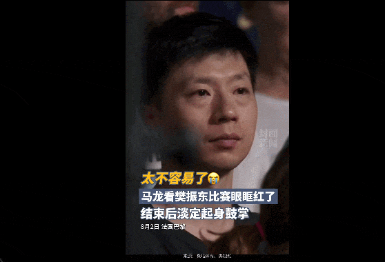 樊振东