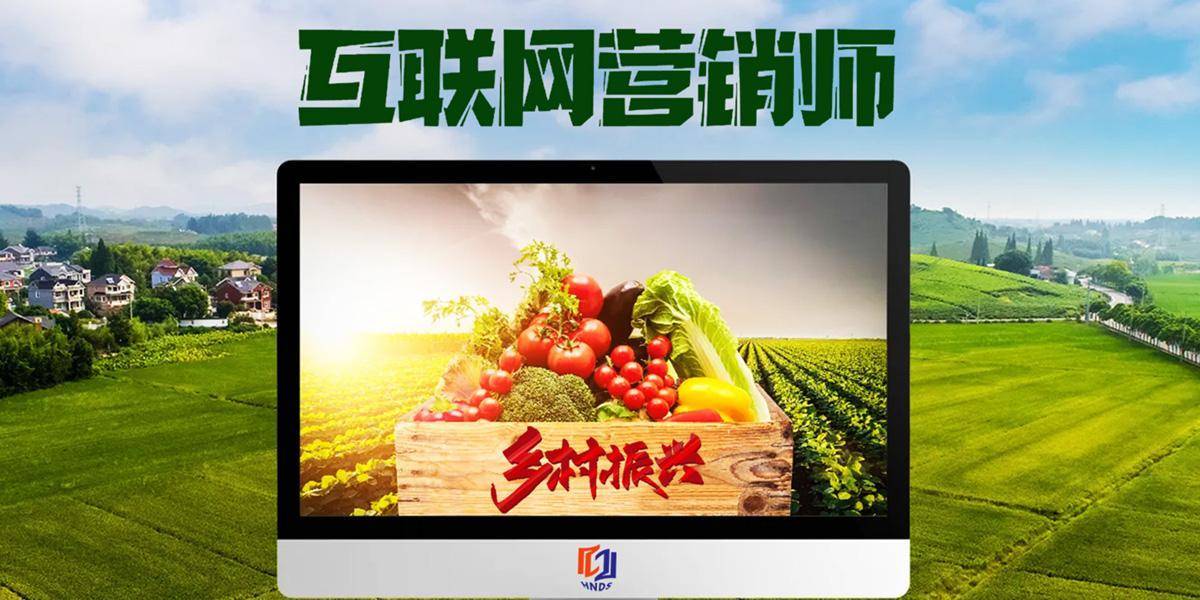 互联网营销师