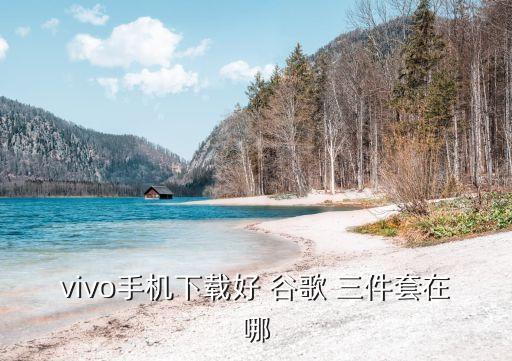 vivo手机下载好 谷歌 三件套在哪