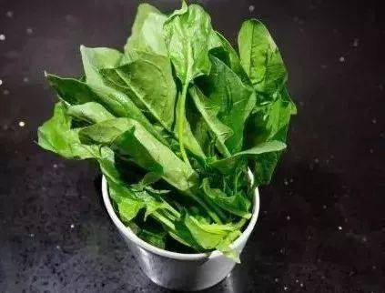 降血脂最好的茶