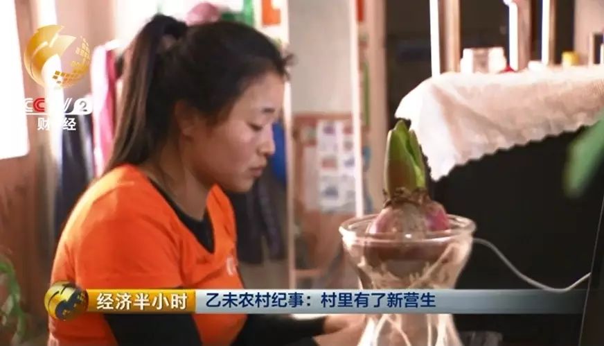 网上代购怎么做