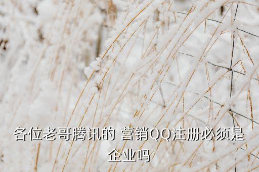 各位老哥腾讯的 营销QQ注册必须是企业吗 各位老哥腾讯的 营销QQ注册必须是企业吗