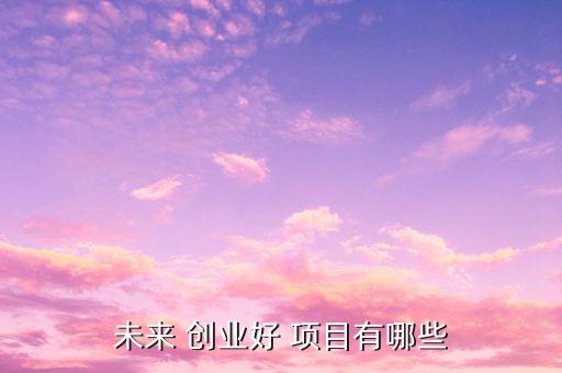 未来 创业好 项目有哪些
