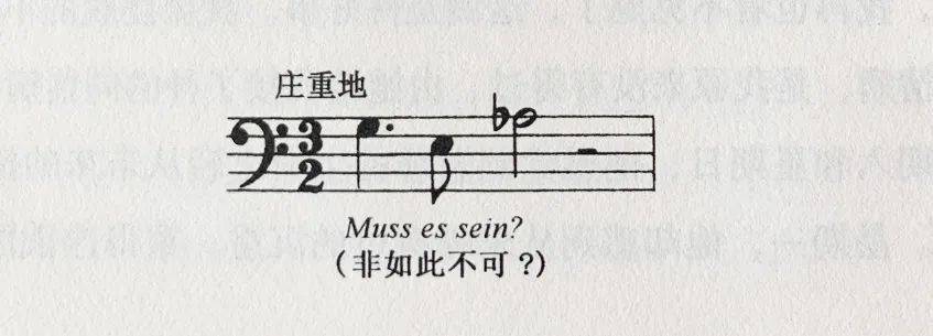陪跑