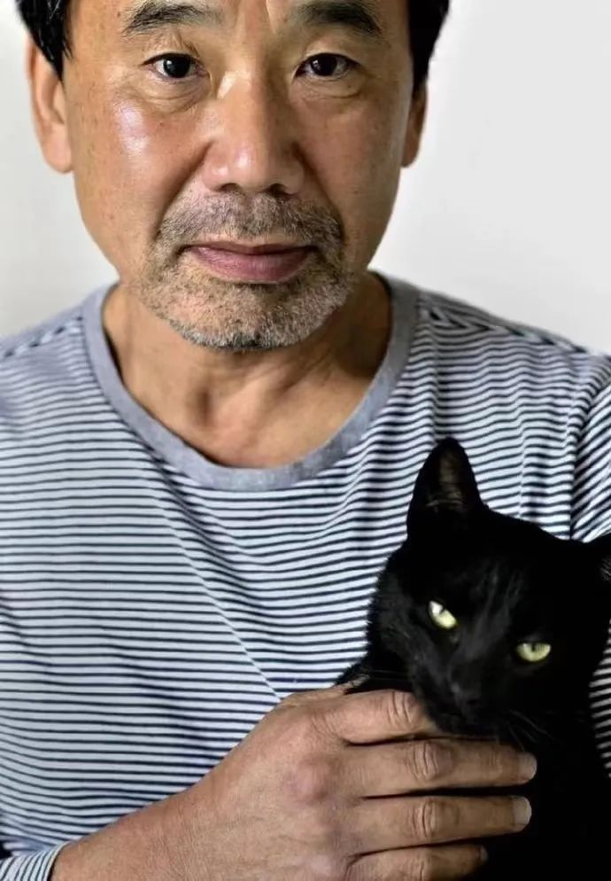 给小猫起名字
