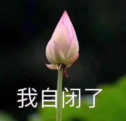奶茶店创业