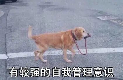 挣钱的软件