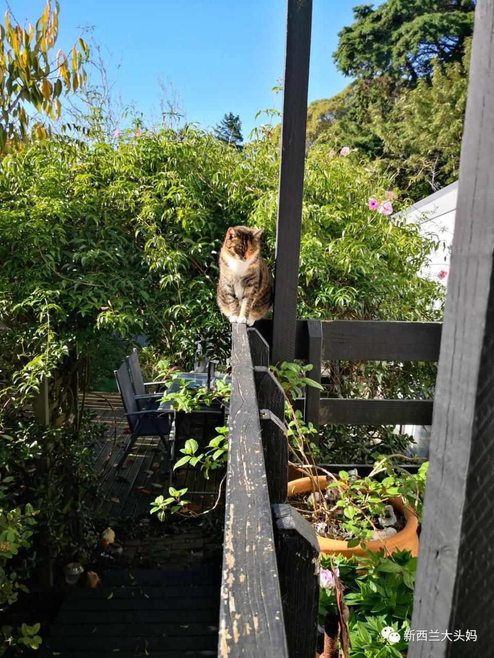 什么工作挣钱多