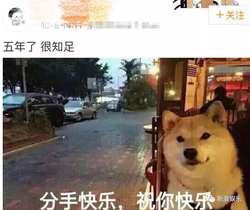 嫂子职业