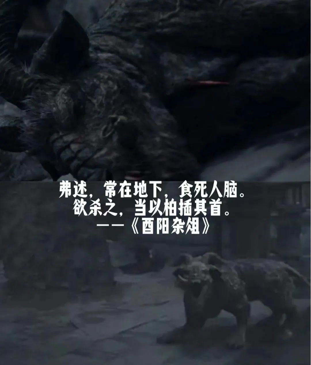 唐朝诡事录豆瓣