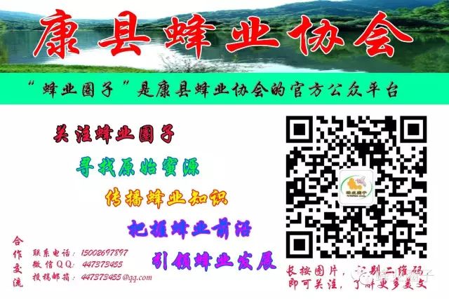 自媒体平台有哪些